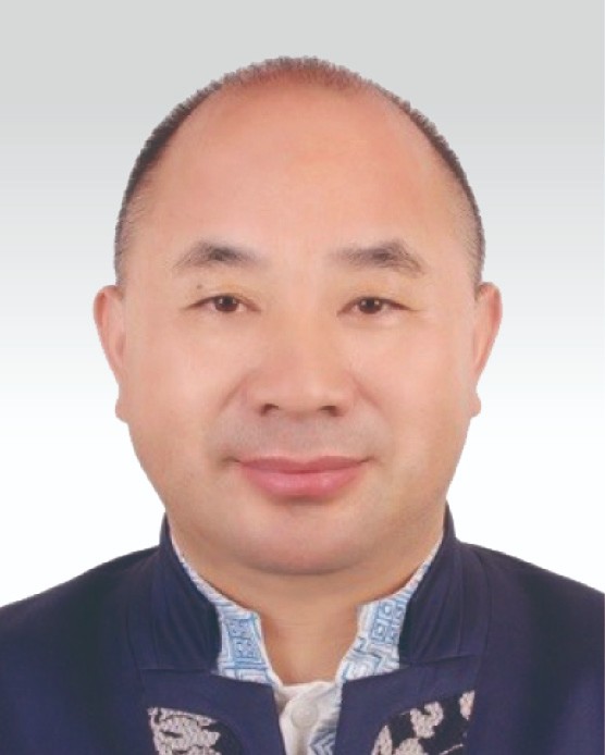  Mr. WANG Wenyin